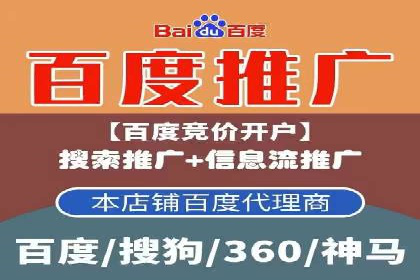 某某sem广告公司成功案例：如何通过SEM优化提高电商销售额